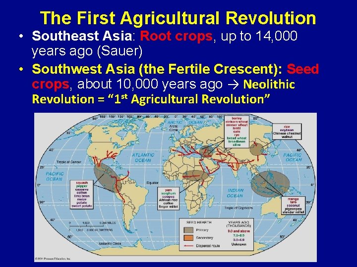 The First Agricultural Revolution • Southeast Asia: Root crops, up to 14, 000 years