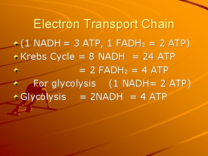 Electron Transport Chain (1 NADH = 3 ATP, 1 FADH 2 = 2 ATP)