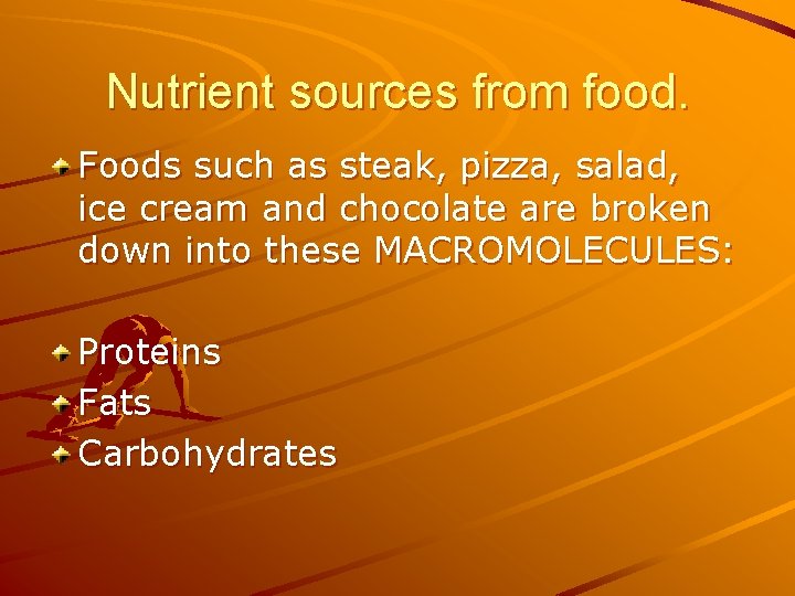 Nutrient sources from food. Foods such as steak, pizza, salad, ice cream and chocolate