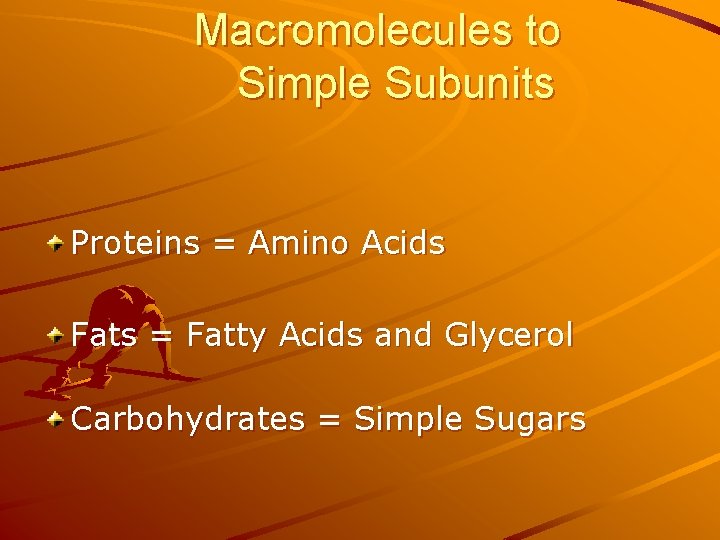 Macromolecules to Simple Subunits Proteins = Amino Acids Fats = Fatty Acids and Glycerol