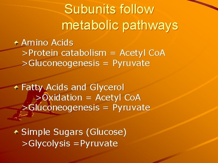 Subunits follow metabolic pathways Amino Acids >Protein catabolism = Acetyl Co. A >Gluconeogenesis =