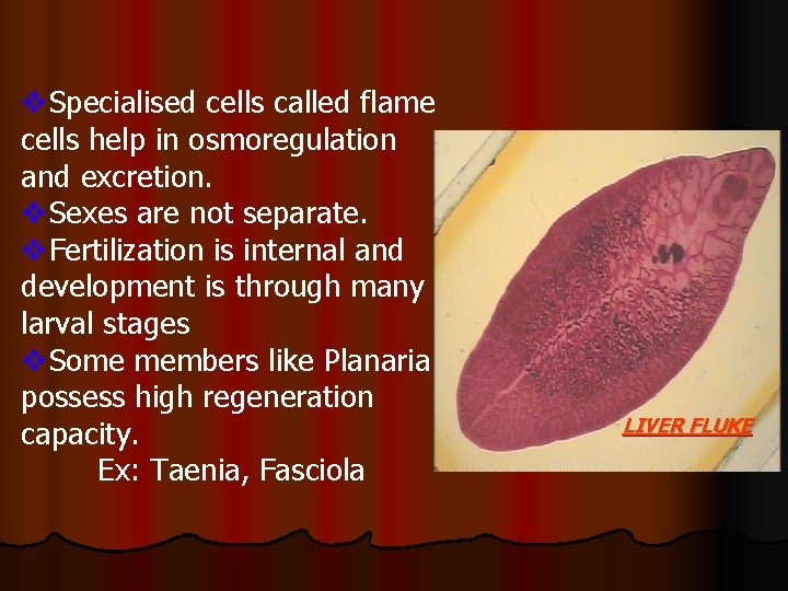 v. Specialised cells called flame cells help in osmoregulation and excretion. v. Sexes are