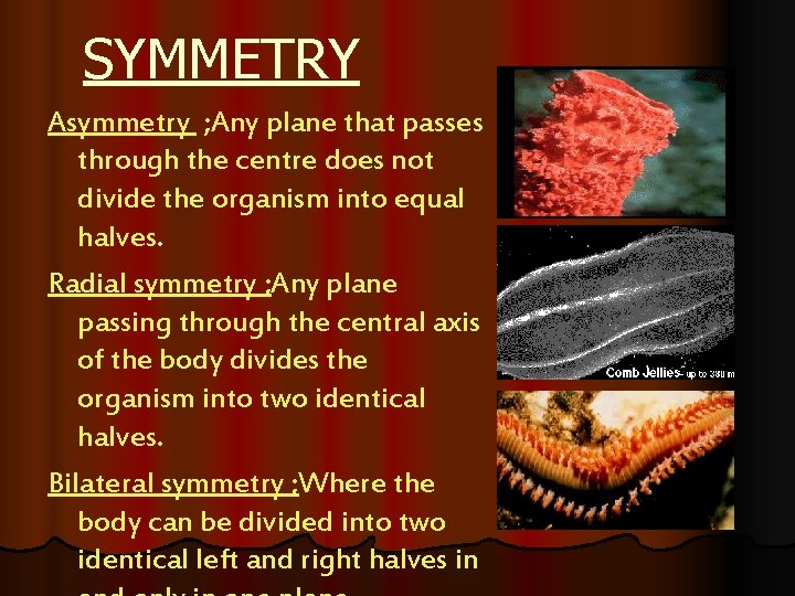 SYMMETRY Asymmetry ; Any plane that passes through the centre does not divide the