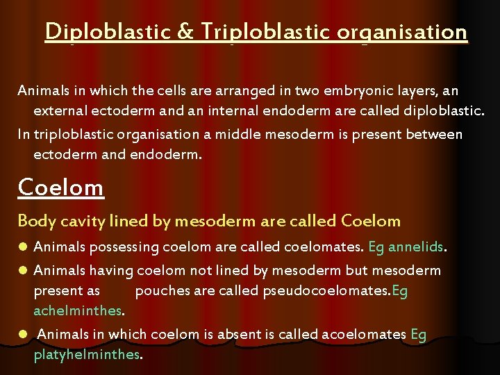 Diploblastic & Triploblastic organisation Animals in which the cells are arranged in two embryonic