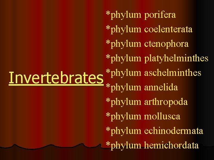 *phylum porifera *phylum coelenterata *phylum ctenophora *phylum platyhelminthes *phylum aschelminthes Invertebrates *phylum annelida *phylum