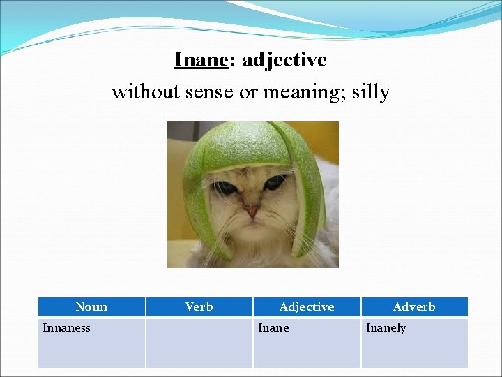Inane: adjective without sense or meaning; silly Noun Innaness Verb Adjective Inane Adverb Inanely