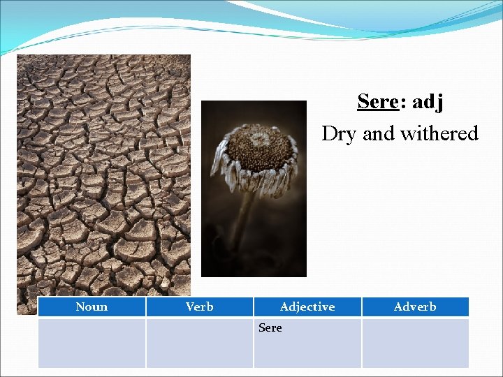 Sere: adj Dry and withered Noun Verb Adjective Sere Adverb 