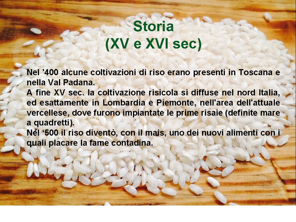 Storia (XV e XVI sec) Nel '400 alcune coltivazioni di riso erano presenti in
