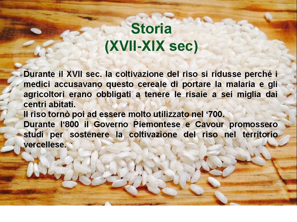 Storia (XVII-XIX sec) Durante il XVII sec. la coltivazione del riso si ridusse perché