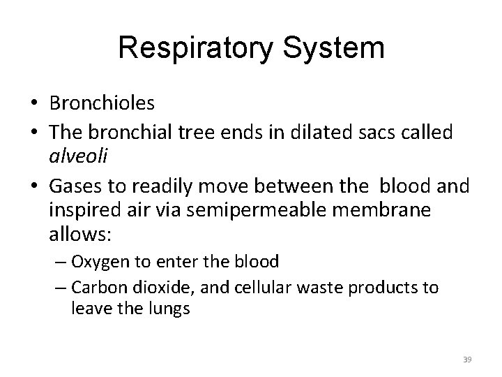 Respiratory System • Bronchioles • The bronchial tree ends in dilated sacs called alveoli