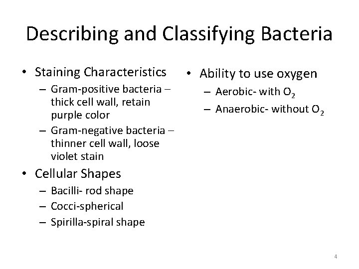 Describing and Classifying Bacteria • Staining Characteristics – Gram-positive bacteria – thick cell wall,