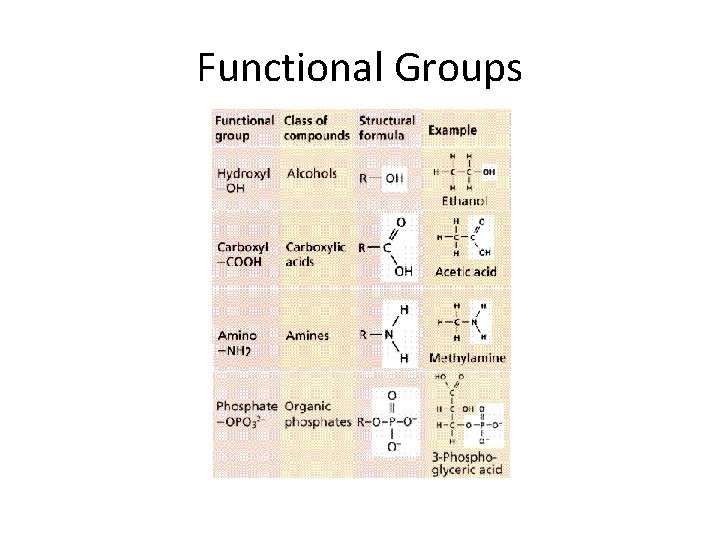 Functional Groups 