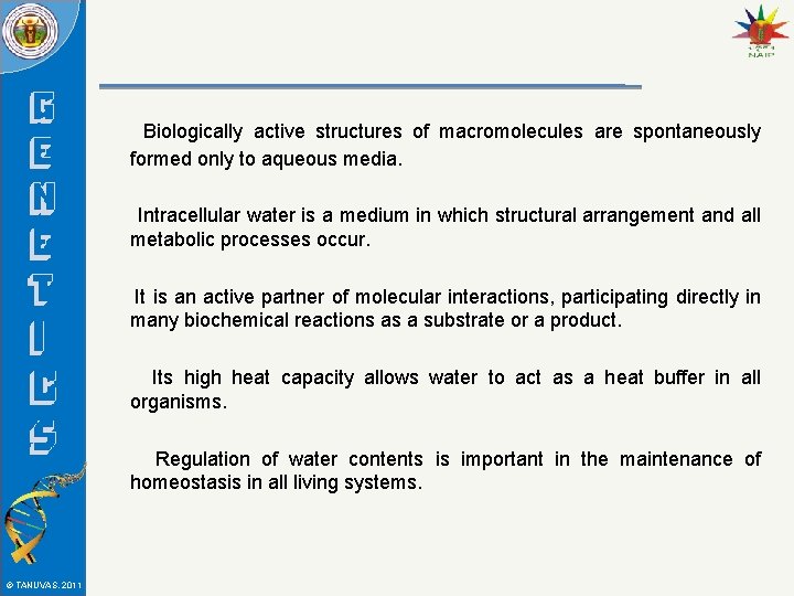 Biologically active structures of macromolecules are spontaneously formed only to aqueous media. Intracellular water