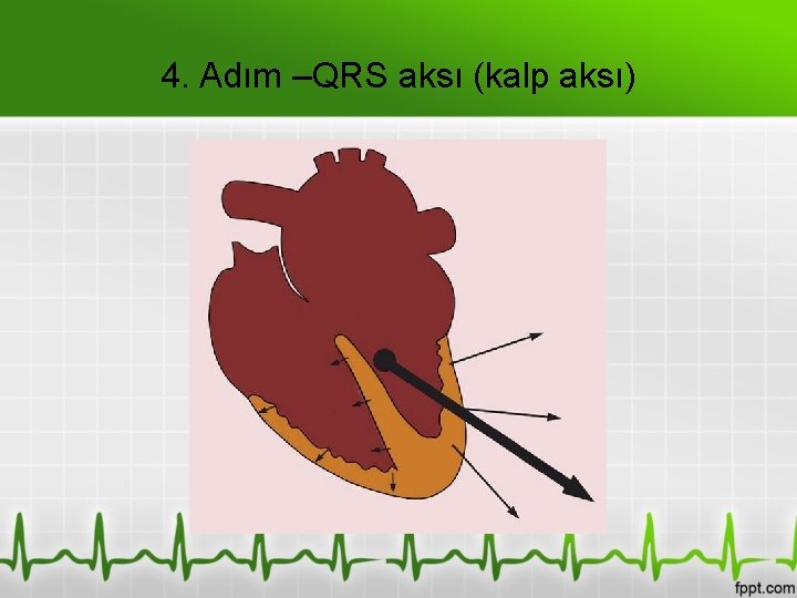 4. Adım –QRS aksı (kalp aksı) 