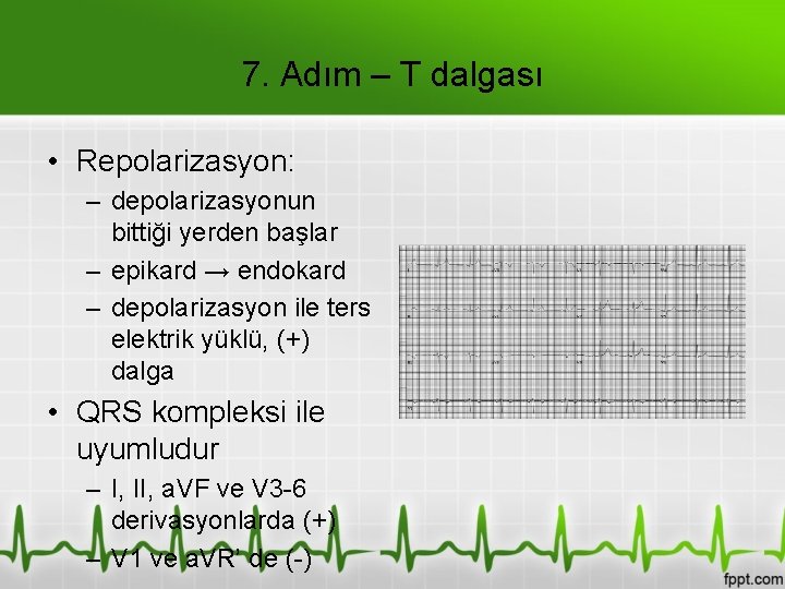 7. Adım – T dalgası • Repolarizasyon: – depolarizasyonun bittiği yerden başlar – epikard