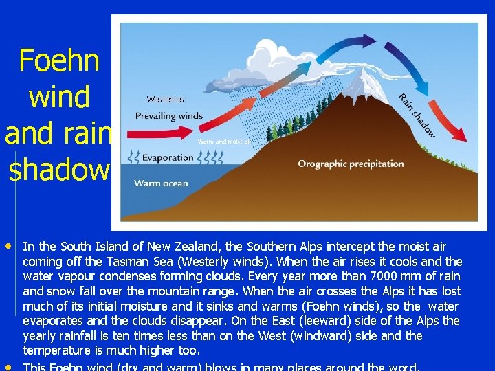 Foehn wind and rain shadow Westerlies Warm and moist air • In the South