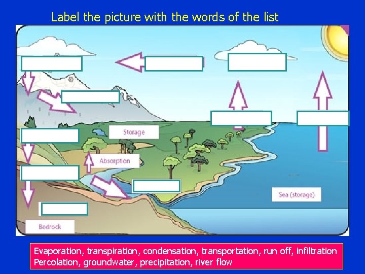 Label the picture with the words of the list Evaporation, transpiration, condensation, transportation, run
