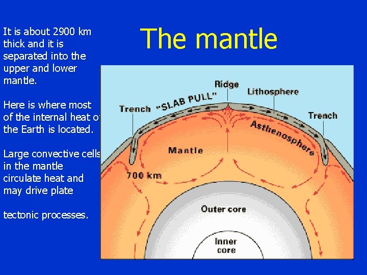 It is about 2900 km thick and it is separated into the upper and