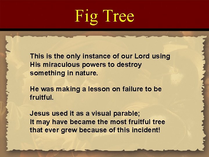 Fig Tree This is the only instance of our Lord using His miraculous powers