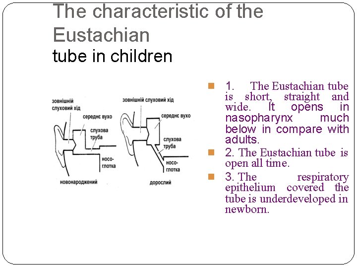 The characteristic of the Eustachian tube in children 1. The Eustachian tube is short, The characteristic of the Eustachian tube in children 1. The Eustachian tube is short,
