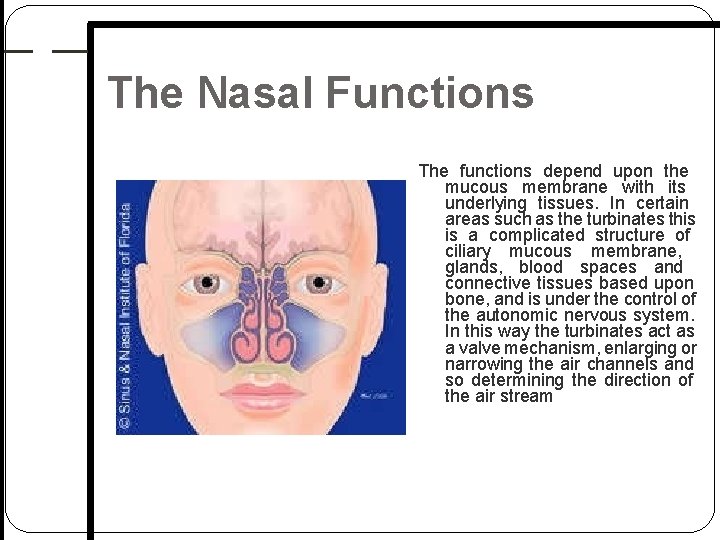 The Nasal Functions The functions depend upon the mucous membrane with its underlying tissues. The Nasal Functions The functions depend upon the mucous membrane with its underlying tissues.