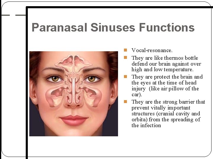 Paranasal Sinuses Functions Vocal-resonance. They are like thermos bottle defend our brain against over Paranasal Sinuses Functions Vocal-resonance. They are like thermos bottle defend our brain against over