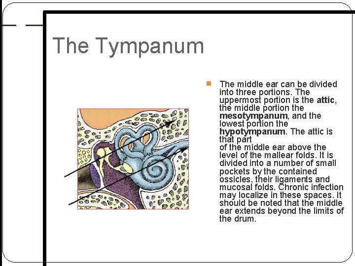 The Tympanum The middle ear can be divided into three portions. The uppermost portion The Tympanum The middle ear can be divided into three portions. The uppermost portion