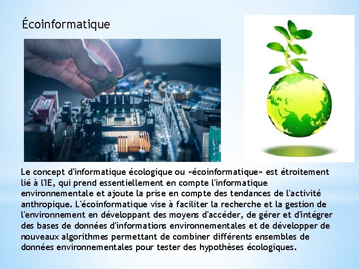 Écoinformatique Le concept d'informatique écologique ou «écoinformatique» est étroitement lié à l'IE, qui prend