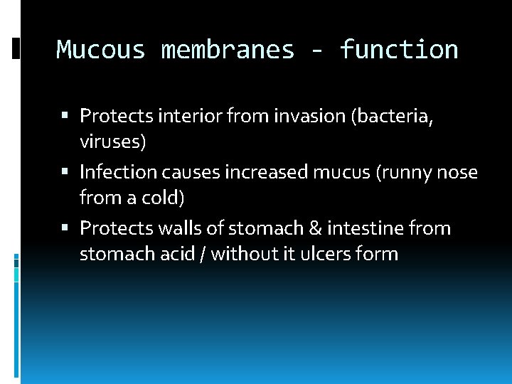 Mucous membranes - function Protects interior from invasion (bacteria, viruses) Infection causes increased mucus