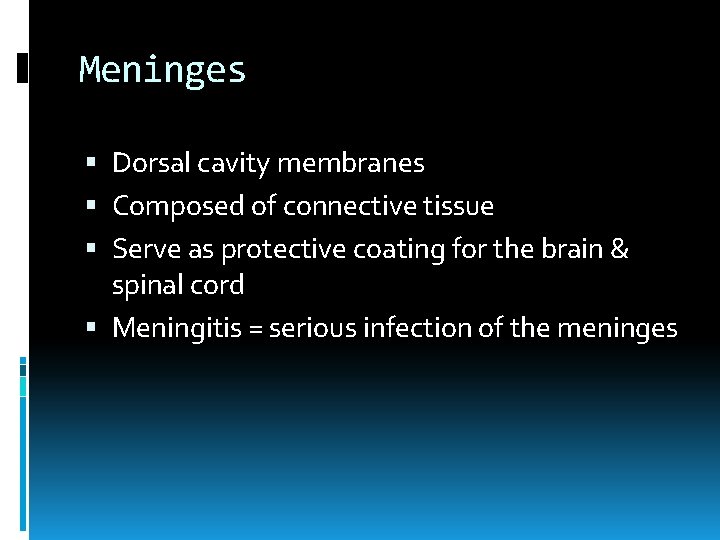 Meninges Dorsal cavity membranes Composed of connective tissue Serve as protective coating for the