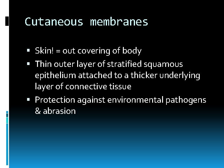 Cutaneous membranes Skin! = out covering of body Thin outer layer of stratified squamous