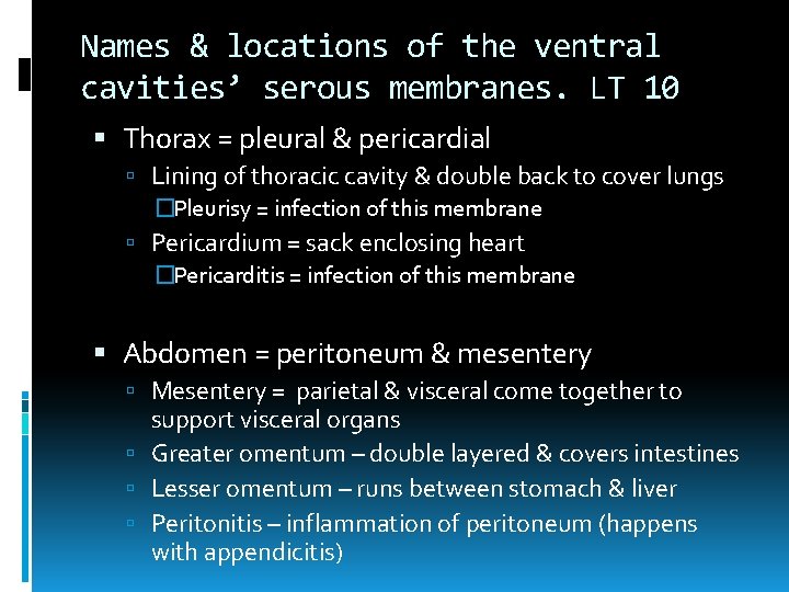 Names & locations of the ventral cavities’ serous membranes. LT 10 Thorax = pleural