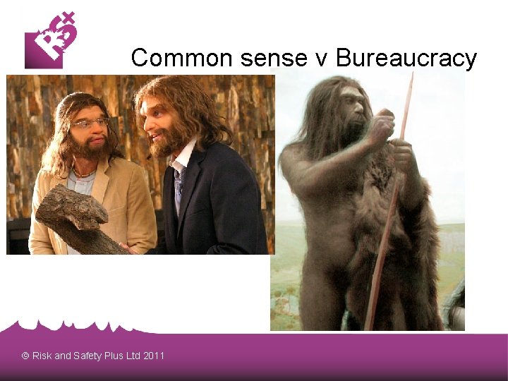 Common sense v Bureaucracy Risk and Safety Plus Ltd 2011 