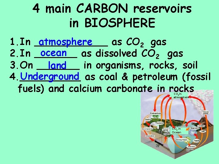 4 main CARBON reservoirs in BIOSPHERE atmosphere 1. In ______ as CO 2 gas