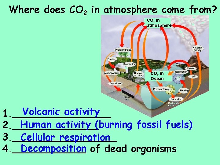 Where does CO 2 in atmosphere come from? CO 2 in atmosphere CO 2