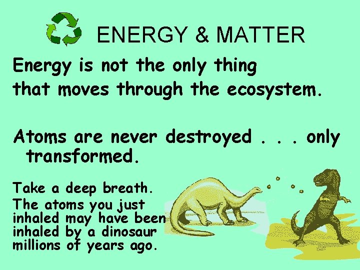 ENERGY & MATTER Energy is not the only thing that moves through the ecosystem.