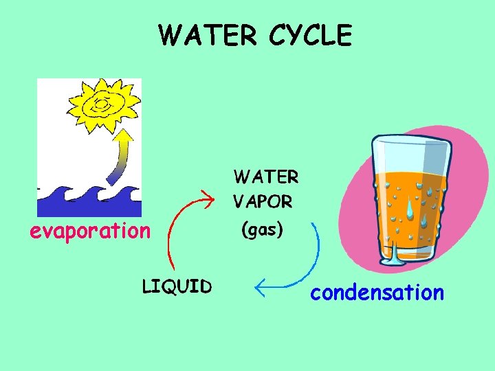 WATER CYCLE evaporation condensation 