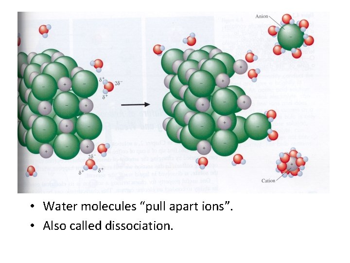  • Water molecules “pull apart ions”. • Also called dissociation. 