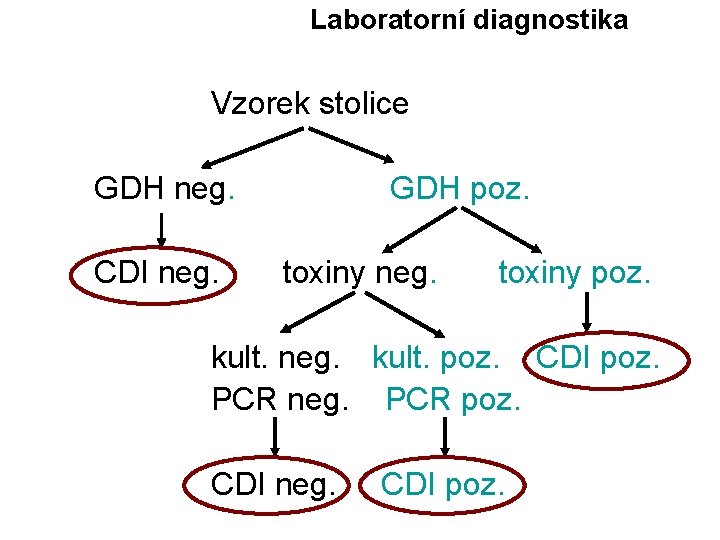Laboratorní diagnostika Vzorek stolice GDH neg. CDI neg. GDH poz. toxiny neg. toxiny poz.