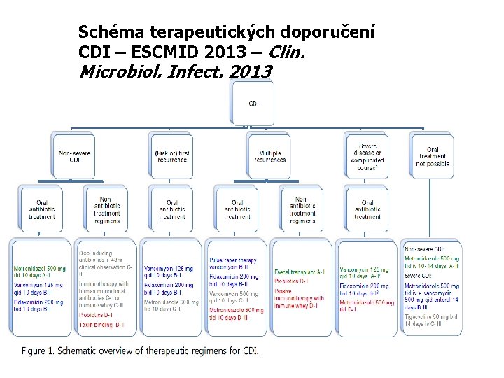 Schéma terapeutických doporučení CDI – ESCMID 2013 – Clin. Microbiol. Infect. 2013 