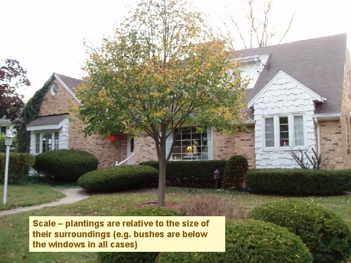 Scale – plantings are relative to the size of their surroundings (e. g. bushes