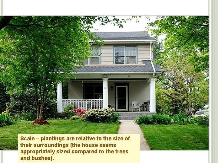 Scale – plantings are relative to the size of their surroundings (the house seems