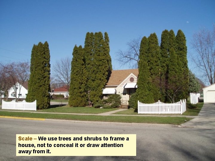 Scale – We use trees and shrubs to frame a house, not to conceal