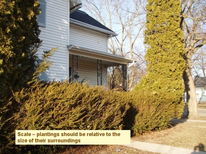 Scale – plantings should be relative to the size of their surroundings 