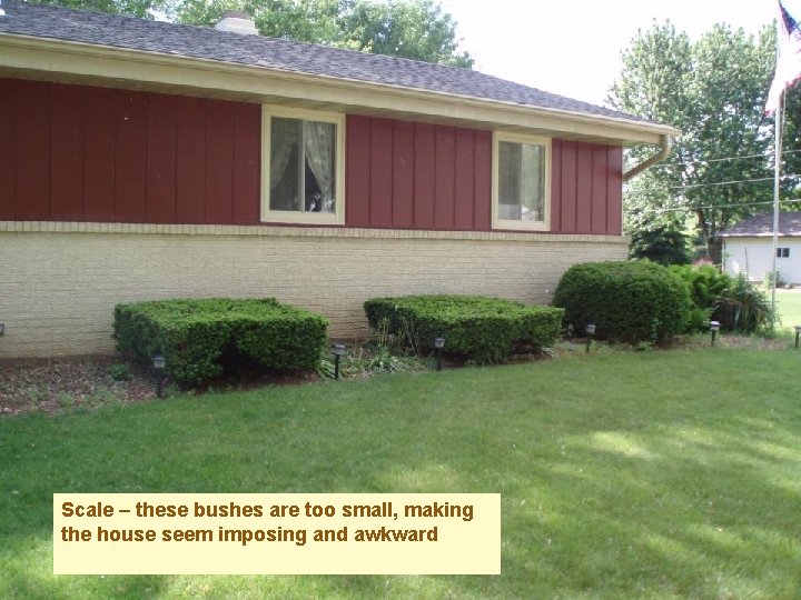 Scale – these bushes are too small, making the house seem imposing and awkward