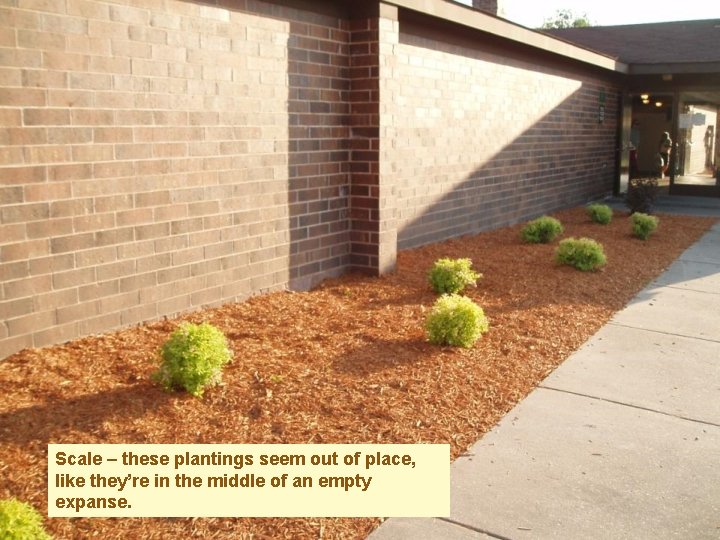 Scale – these plantings seem out of place, like they’re in the middle of