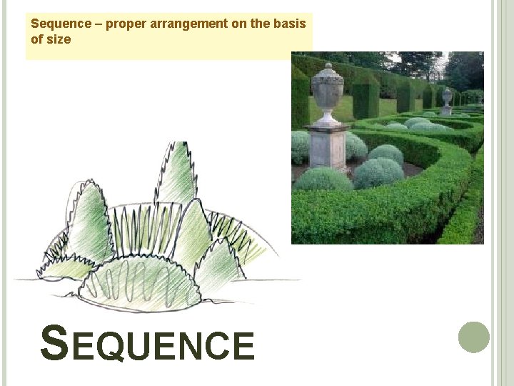 Sequence – proper arrangement on the basis of size SEQUENCE 