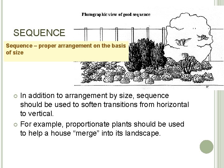 SEQUENCE Sequence – proper arrangement on the basis of size In addition to arrangement