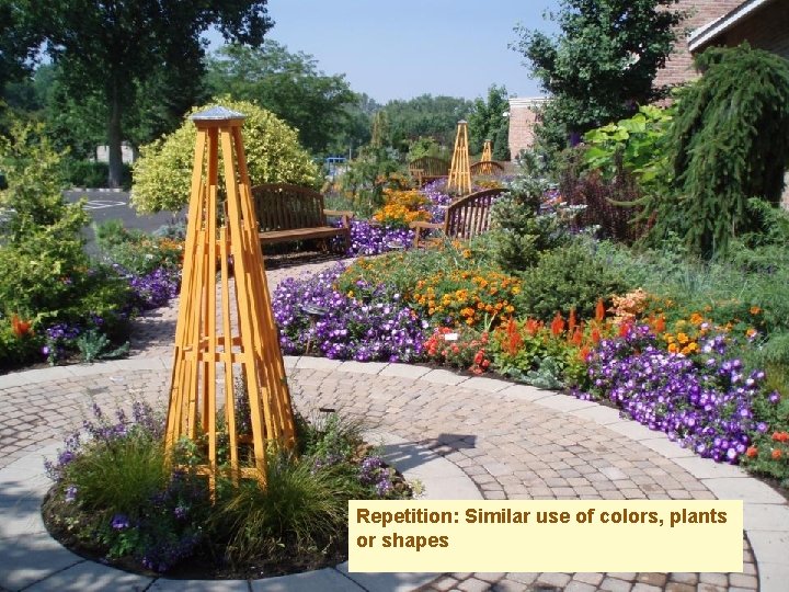 Repetition: Similar use of colors, plants or shapes 