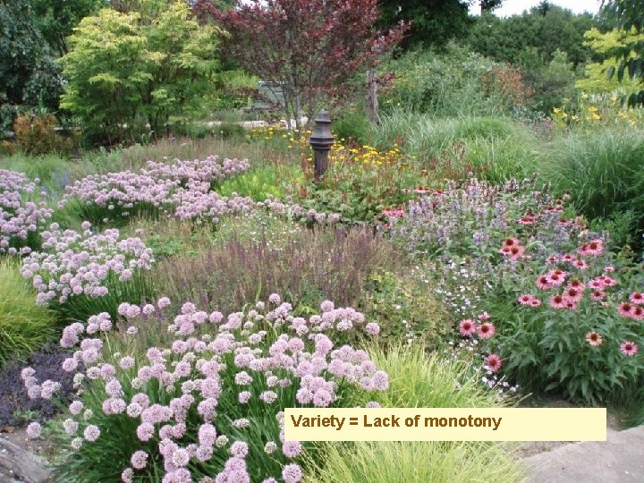 Variety = Lack of monotony 